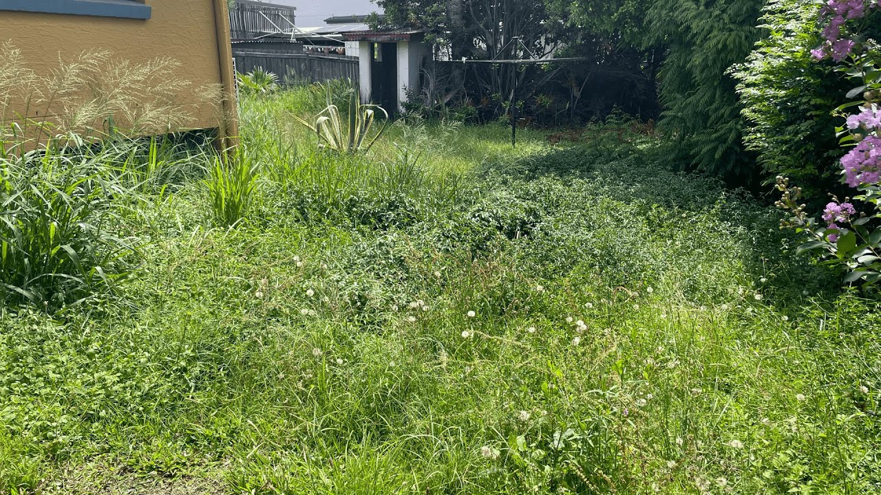 SAVING a VETERAN from EVICTION over an OVERGROWN yard