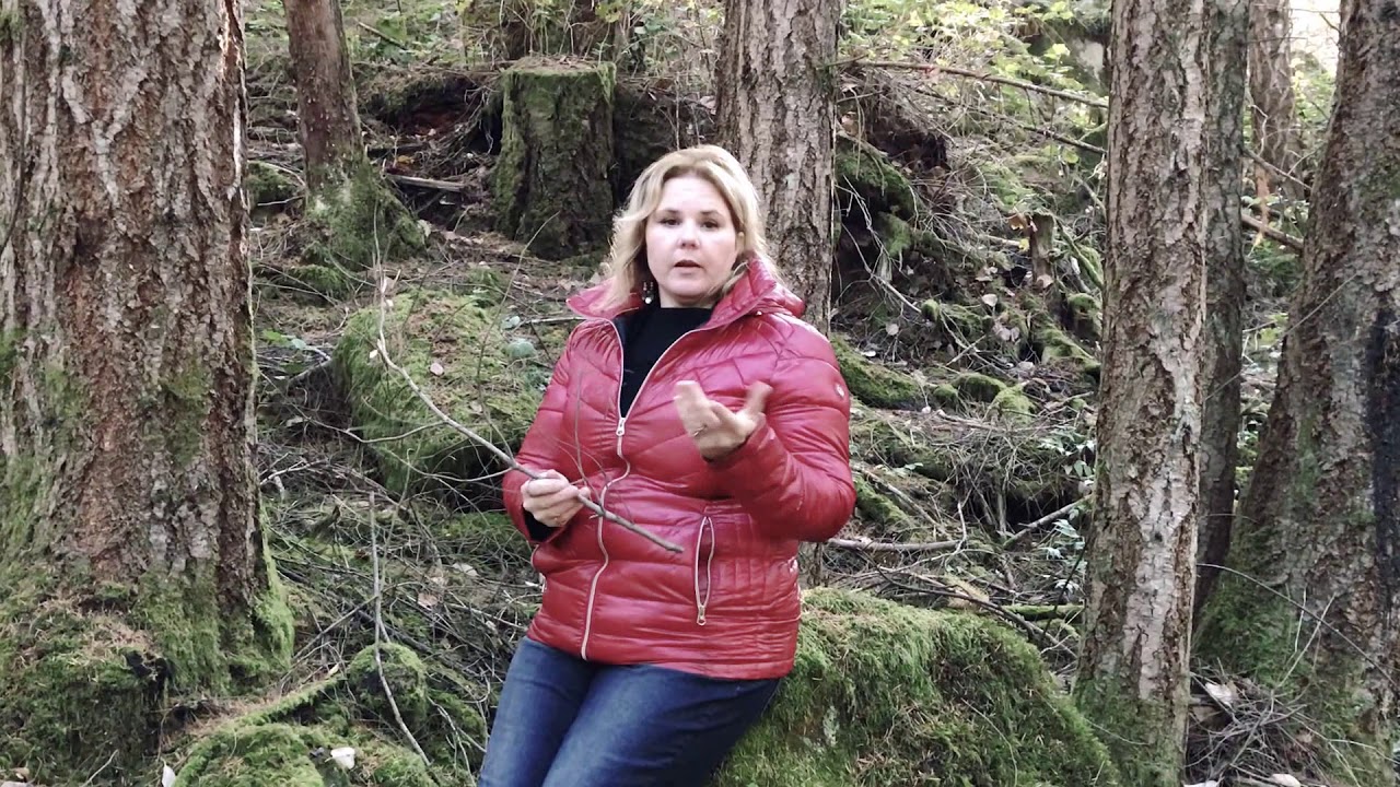 Fighting off Cougar Attack Tips