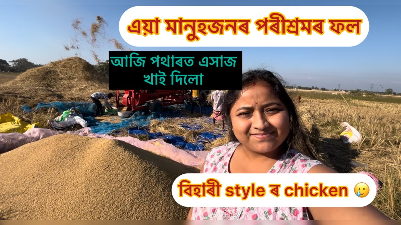 মানুহজনৰ কষ্টৰ ফল এয়া।পথাৰত লগে ভাগে এসাজ।বিহাৰী style ৰ chicken curry খাইছেনে কেতিয়াবা#village-life