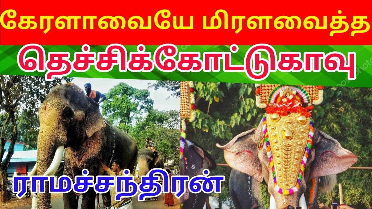 கேரளாவையே மிரளவைத்த பிரபல யானை "தெச்சிக்கோட்டுகாவு ராமச்சந்திரன்"  தடை ஏன் ? Synergy Win.