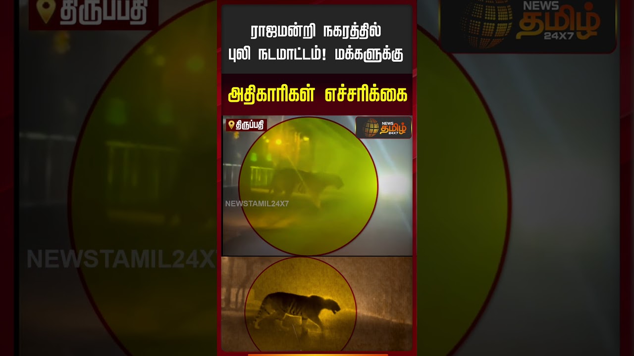 ராஜமன்றி நகரத்தில் புலி நடமாட்டம்! மக்களுக்கு அதிகாரிகள் எச்சரிக்கை | Rajahmundry City | Tiger Alert