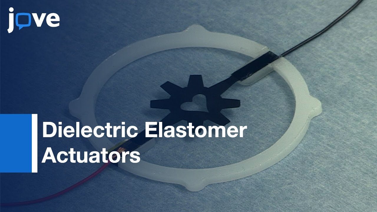 Silicone-based Dielectric Elastomer Actuators Fabrication | Protocol Preview