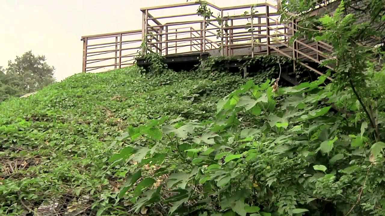 臺北市立圖書館北投分館(中文簡介影片)