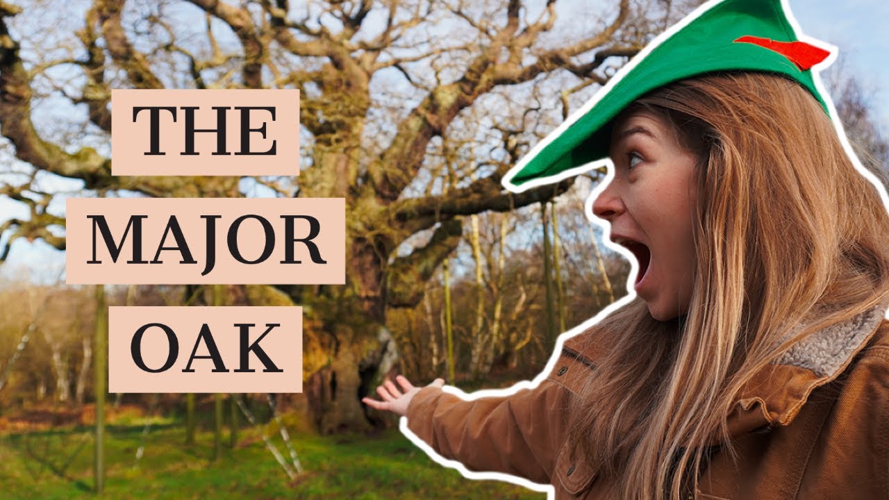 ЭТО САМАЯ ГЛАВНАЯ ДОСТОПРИМЕЧАТЕЛЬНОСТЬ В НОТТИНГЕМЕ? (Робин Гуд и Большой Дуб)