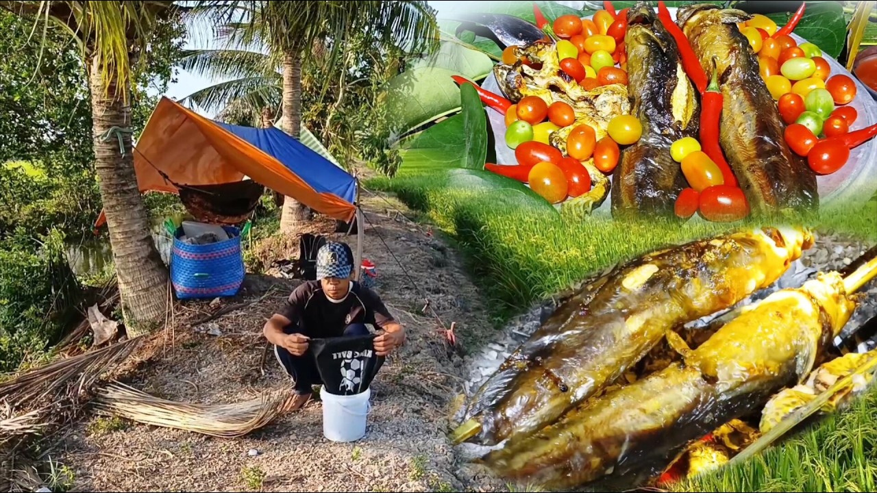 Tập 53 _ Cuộc sống săn bắt cắm câu ll thưởng thức món nhậu huyền thoại