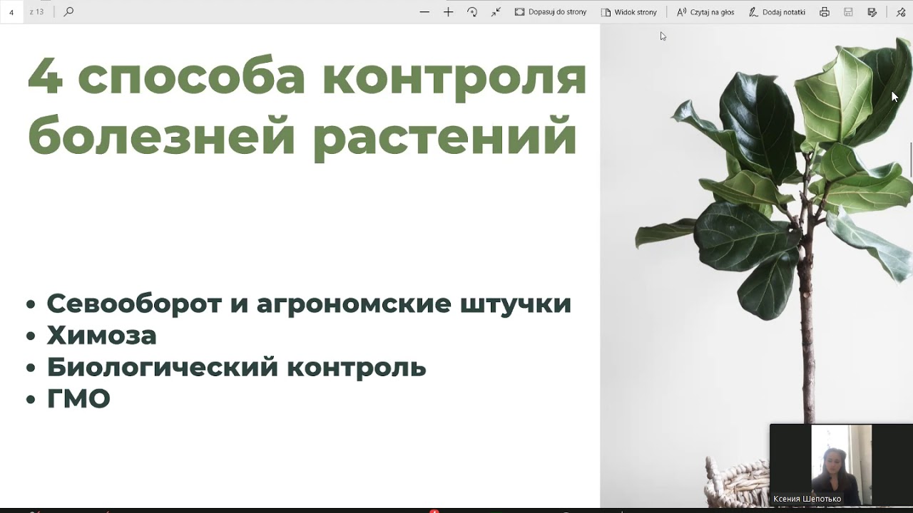 STP-вебинар 