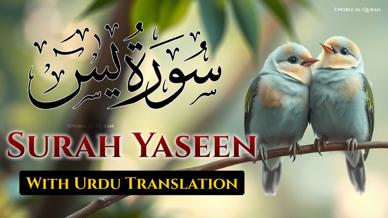 Surah Yasin | Surat Yaseen with Urdu Translation | Quran Tilawat Beautiful Voice | Urdu Tarjuma