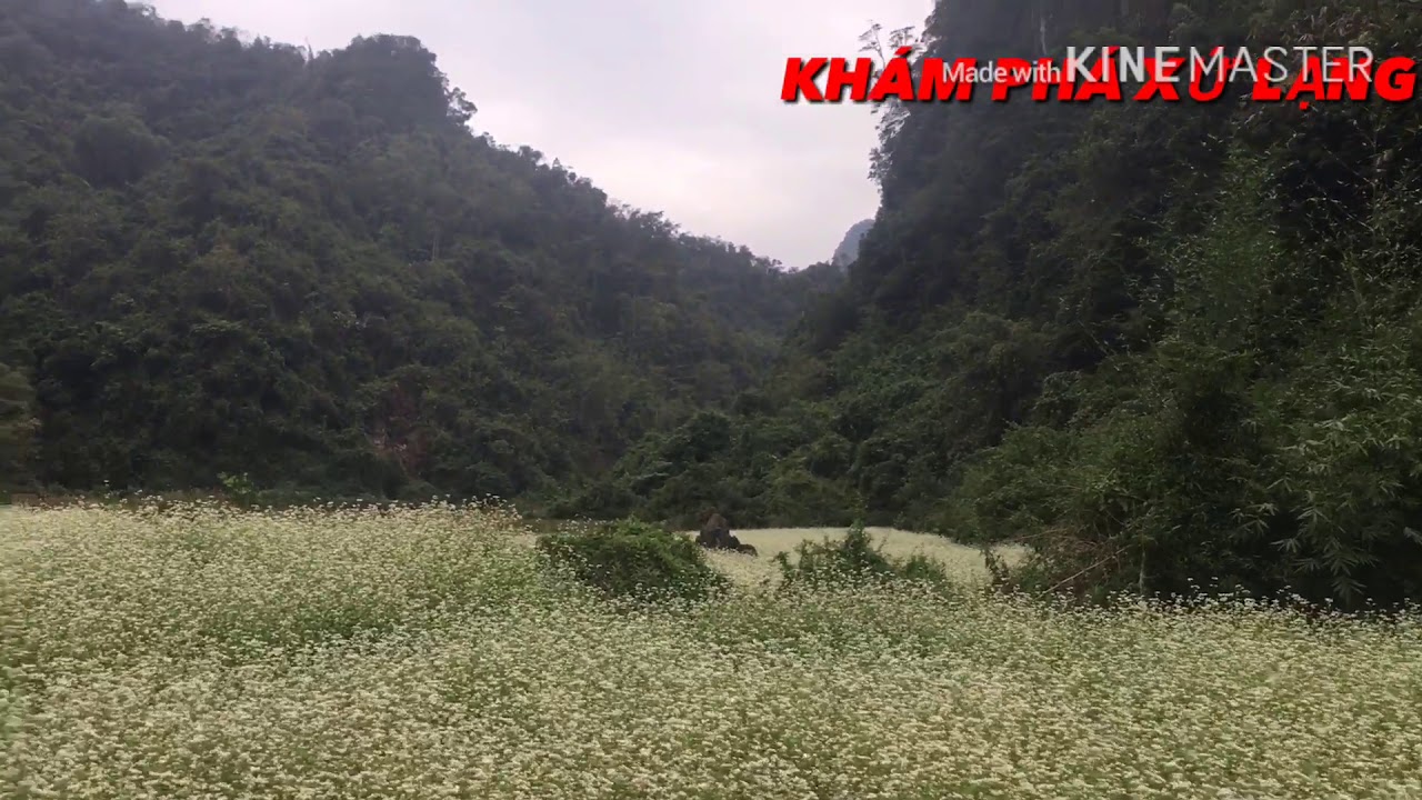 Khám phá thung lung hoa tam giác mạch nà lùng Hữu lễ văn quan Lạng sơn