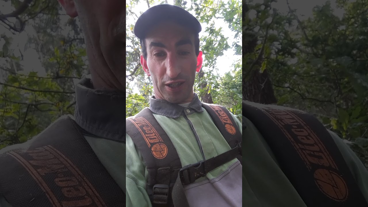 sorpresa limpiando finca.