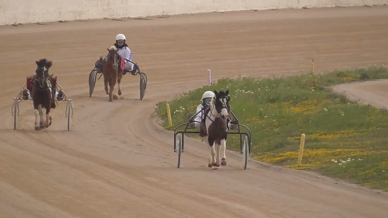 TR250329 PONIS