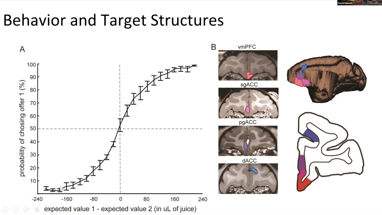 Talk: A functional hierarchy for choice in medial prefrontal cortex