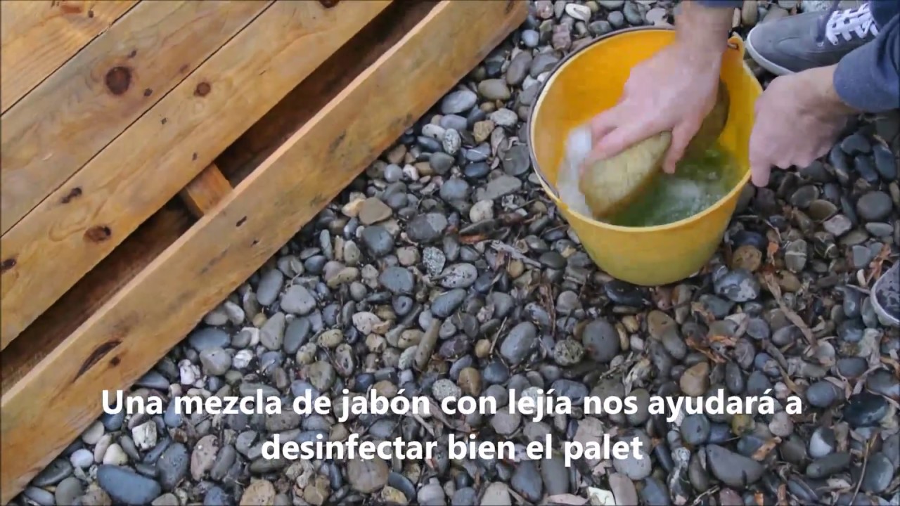 Como limpiar y desinfectar un palet