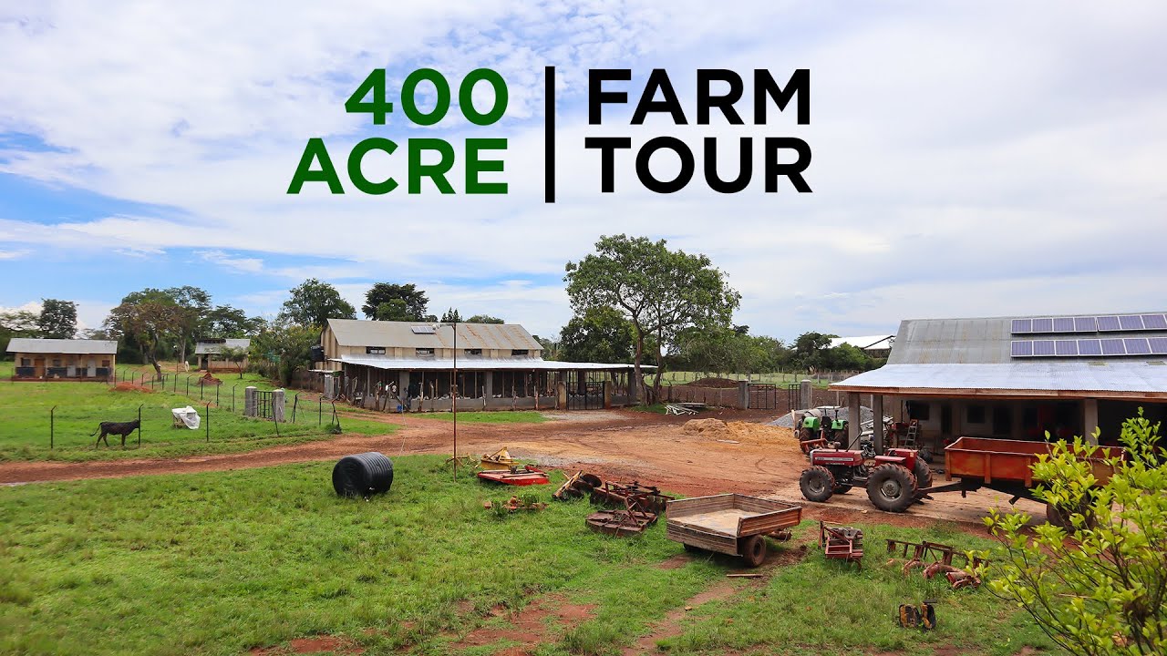 Вокруг нашей фермы площадью 400 акров | ВСЁ, ЧТО У НАС ЕСТЬ