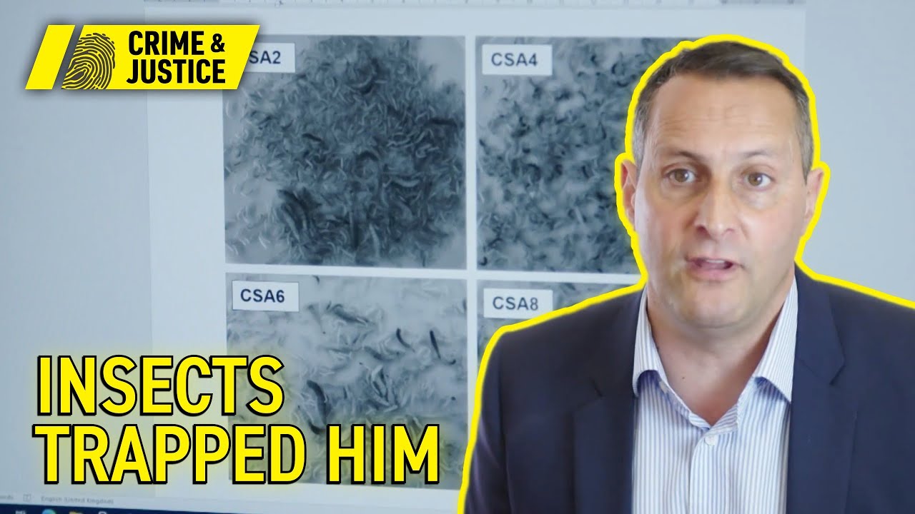 Blowfly Larvae Solved the Natalie Heming Murder | Expert Witness