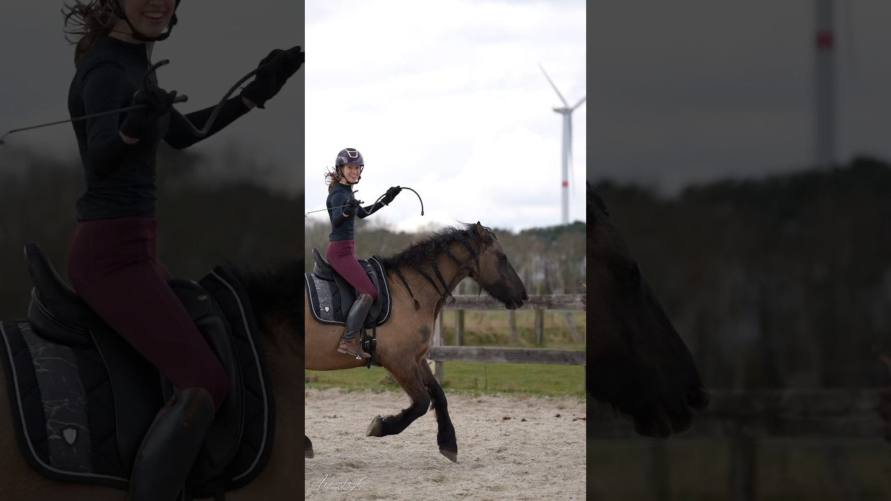 Neckrope BREEKT! - Zie alles in de video 📸😱 #paard #paardrijden #neckrope #gaatfout #pony #paarden