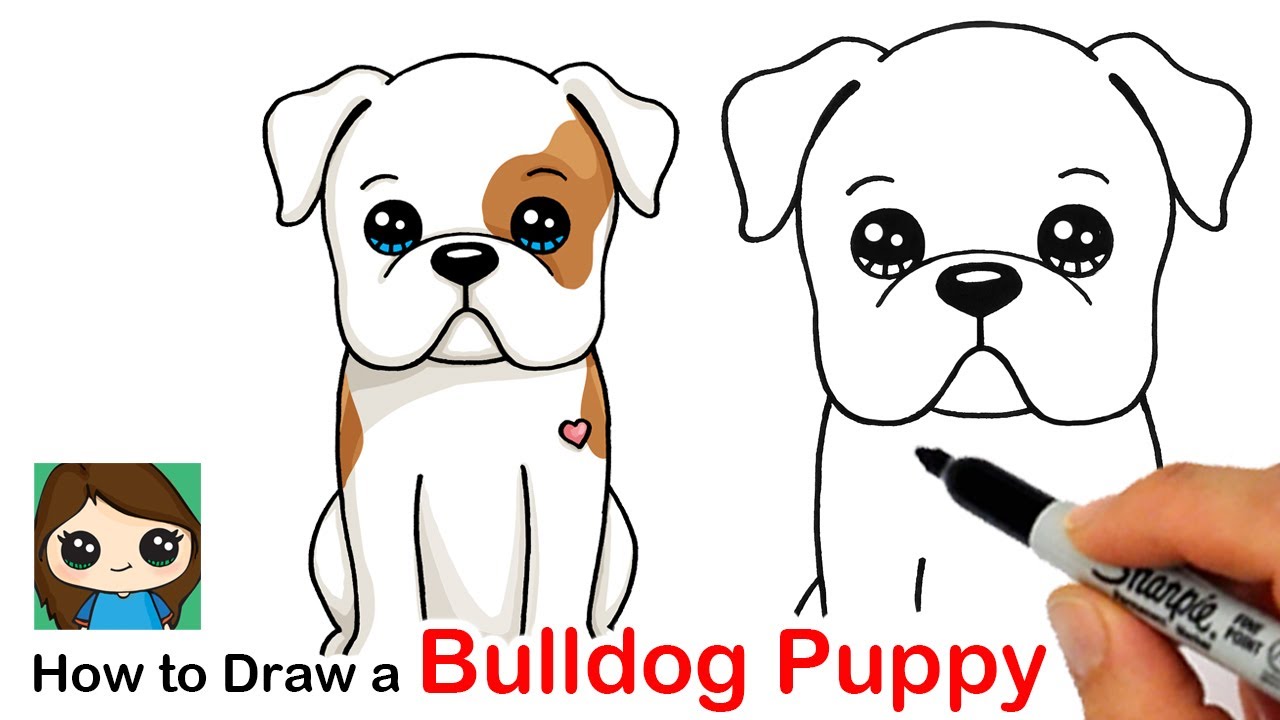 How to Draw an American Bulldog Puppy Easy 🦴❤️