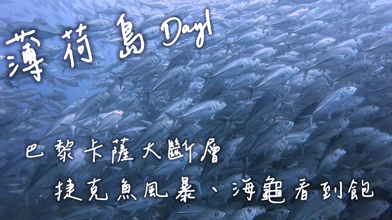ScubaDiving-薄荷島Day1｜巴黎卡薩大斷層｜黑森林｜珊瑚花園｜捷克魚風暴解鎖｜
