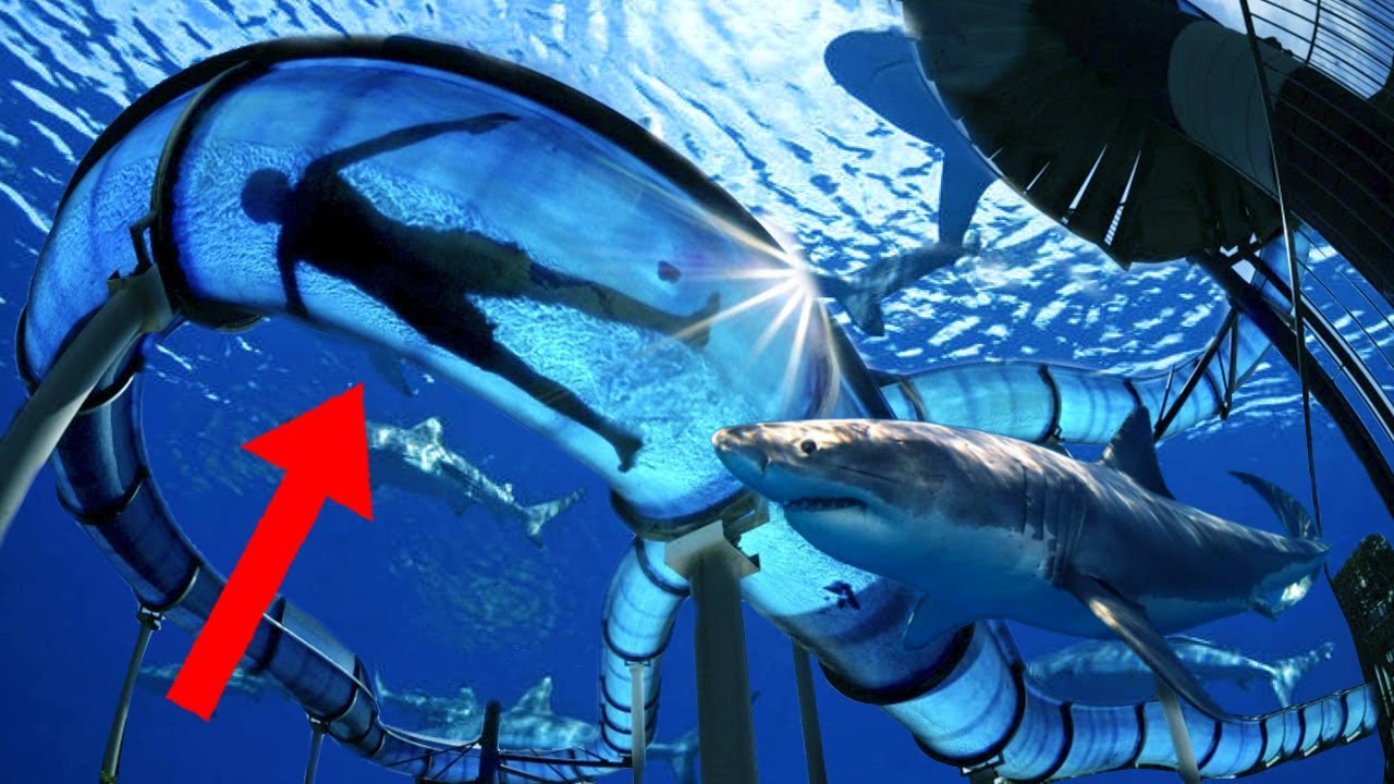 14 CRAZIEST Waterslides In The World!