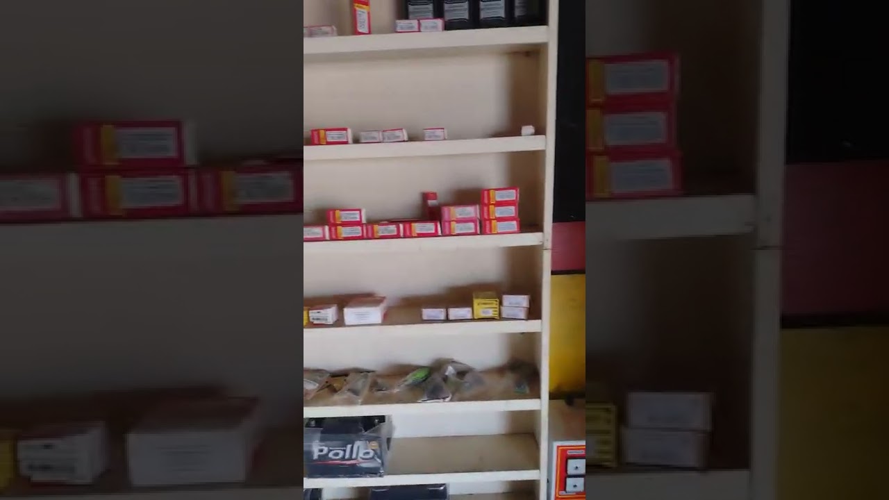 montei minha auto elétrica será se deu certo???? assista até o fim
