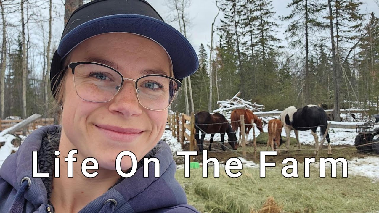Life On The Farm | Below Freezing | Winter Days | Horses | Nubian and Nigerian Dwarf Goats