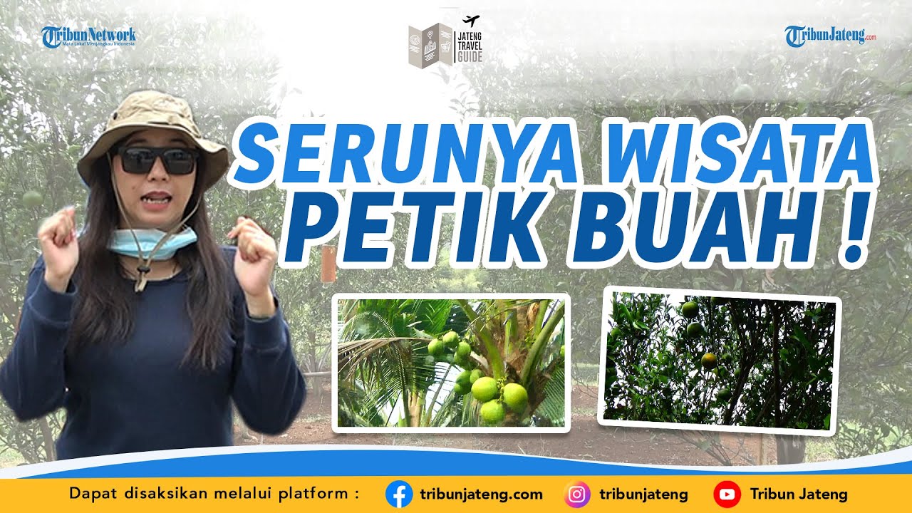SERUNYA WISATA PETIK BUAH!