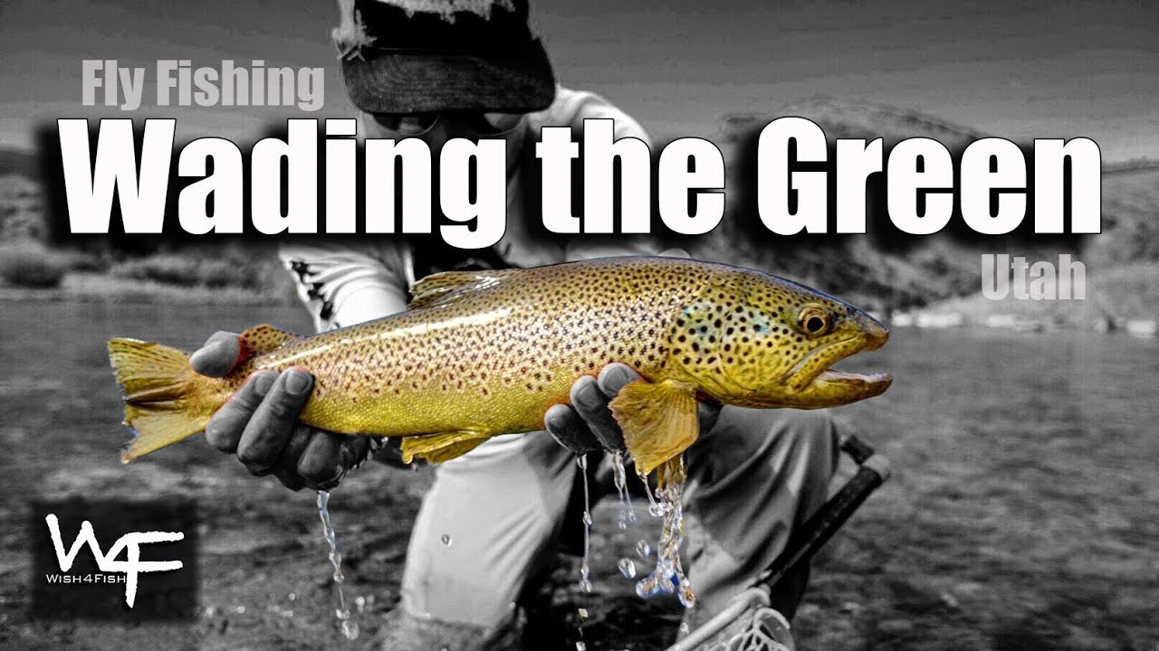 W4F - Fly Fishing 