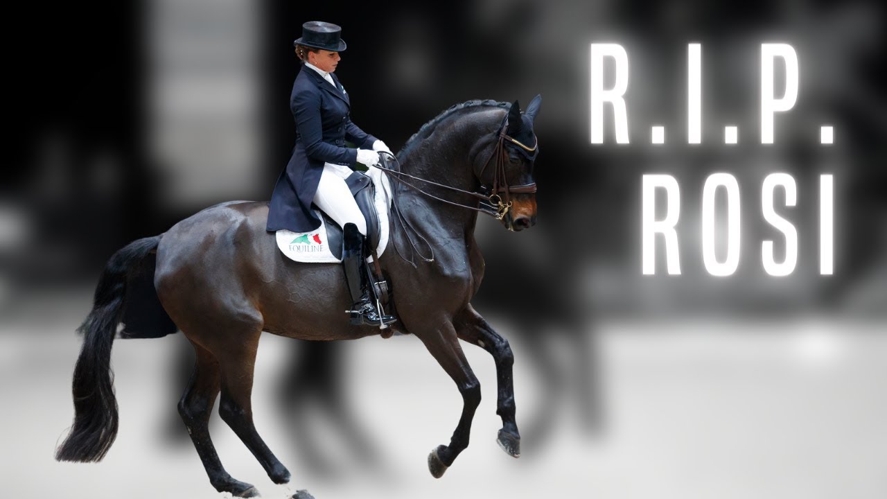 R.I.P. Rosi! 💔| Dorothee Schneider verliert ihre Herzensstute 😔 | Run free!
