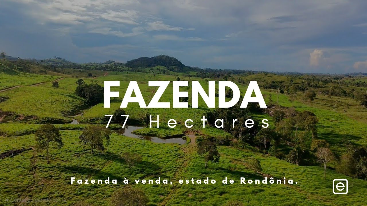 OPORTUNIDADE! Fazenda de 77 Hectares à Venda! (RONDÔNIA)
