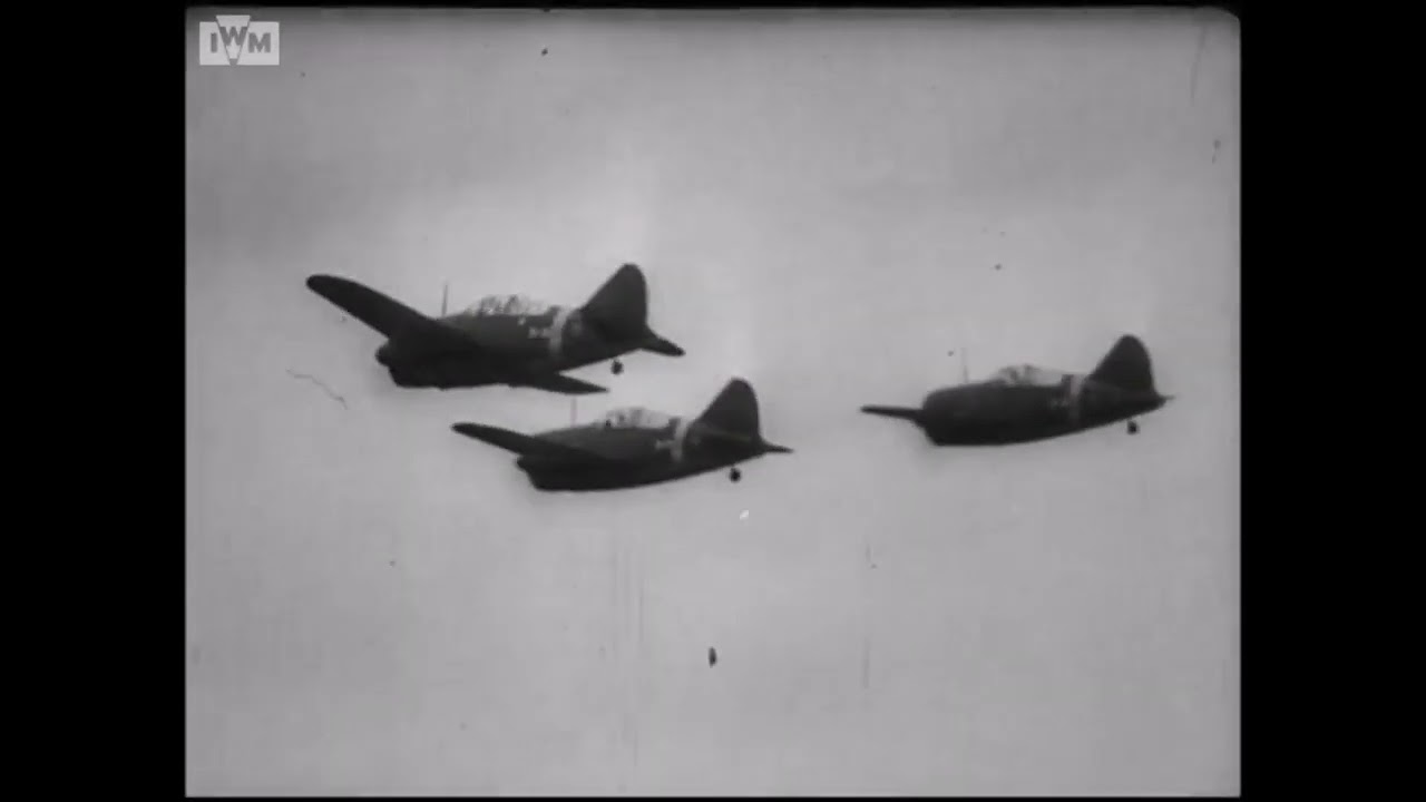 Dutch Brewster B-339 Buffalo fighters and Martin Model 166 bombers in the Dutch East Indies (1942)