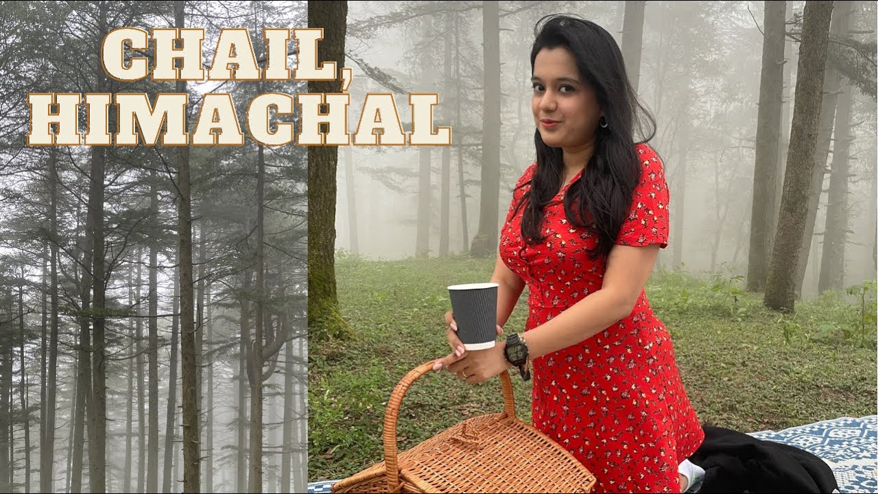 Hidden Gem In Himachal! Picnic in Forest and More ❤️