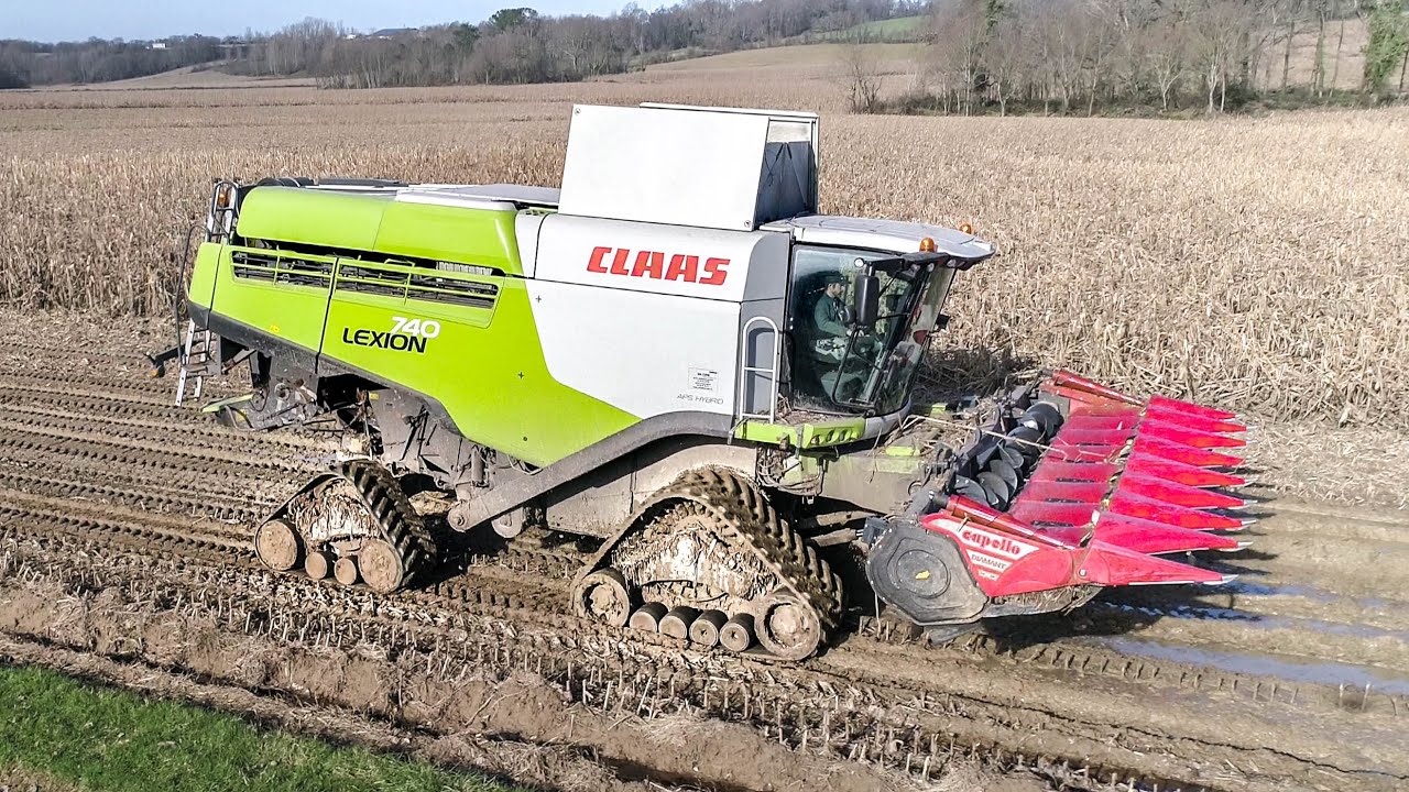 MOISSON DURANT NOËL 🎅 4 chenilles sur cette Lexion 740 ! L'entrepreneur nous donne les raisons