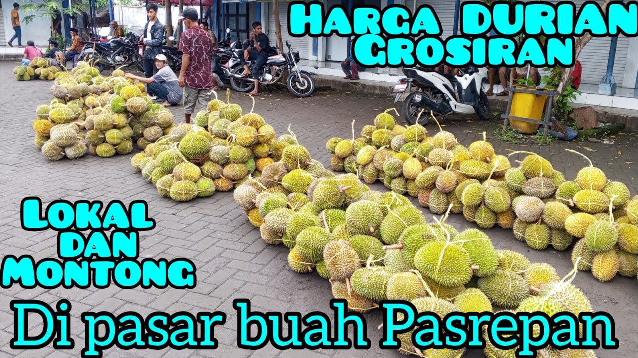 Selalu Banyak DURIAN di hari Selasa pasaran di terminal pasar buah Pasrepan kabupaten Pasuruan Jatim