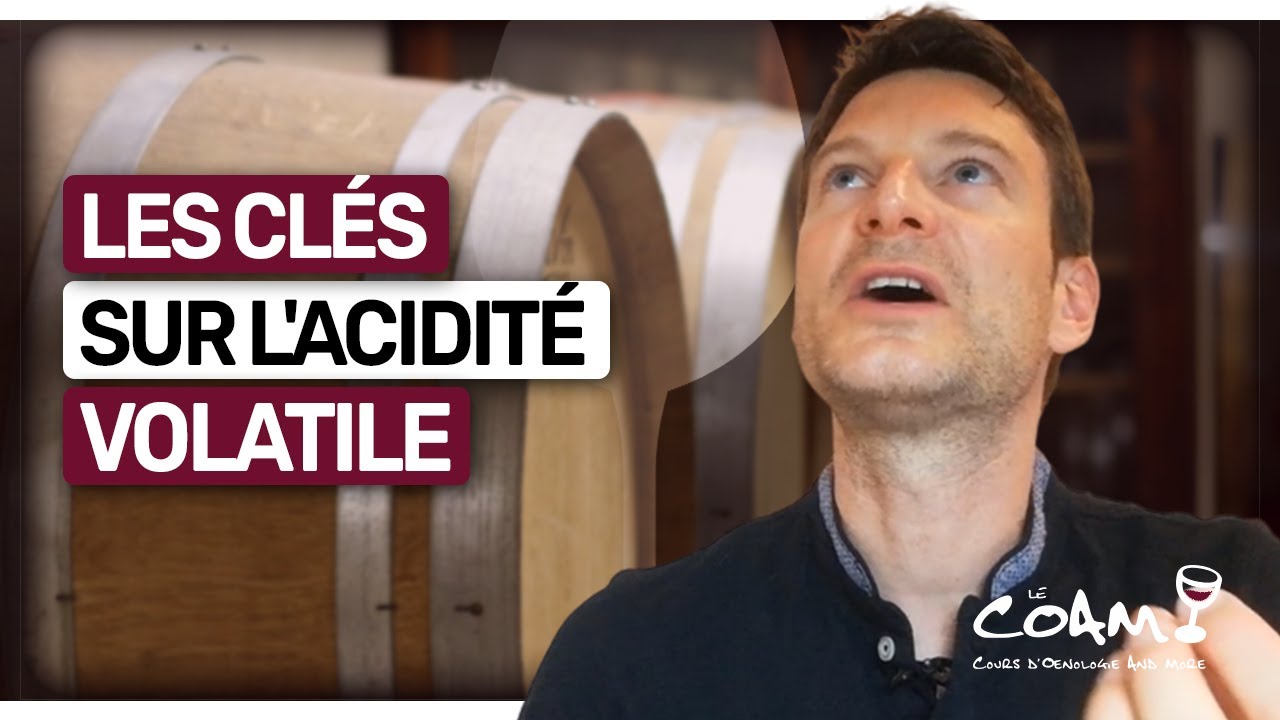 10 minutes pour tout savoir sur l'acidité volatile dans le vin (leçon n°87)