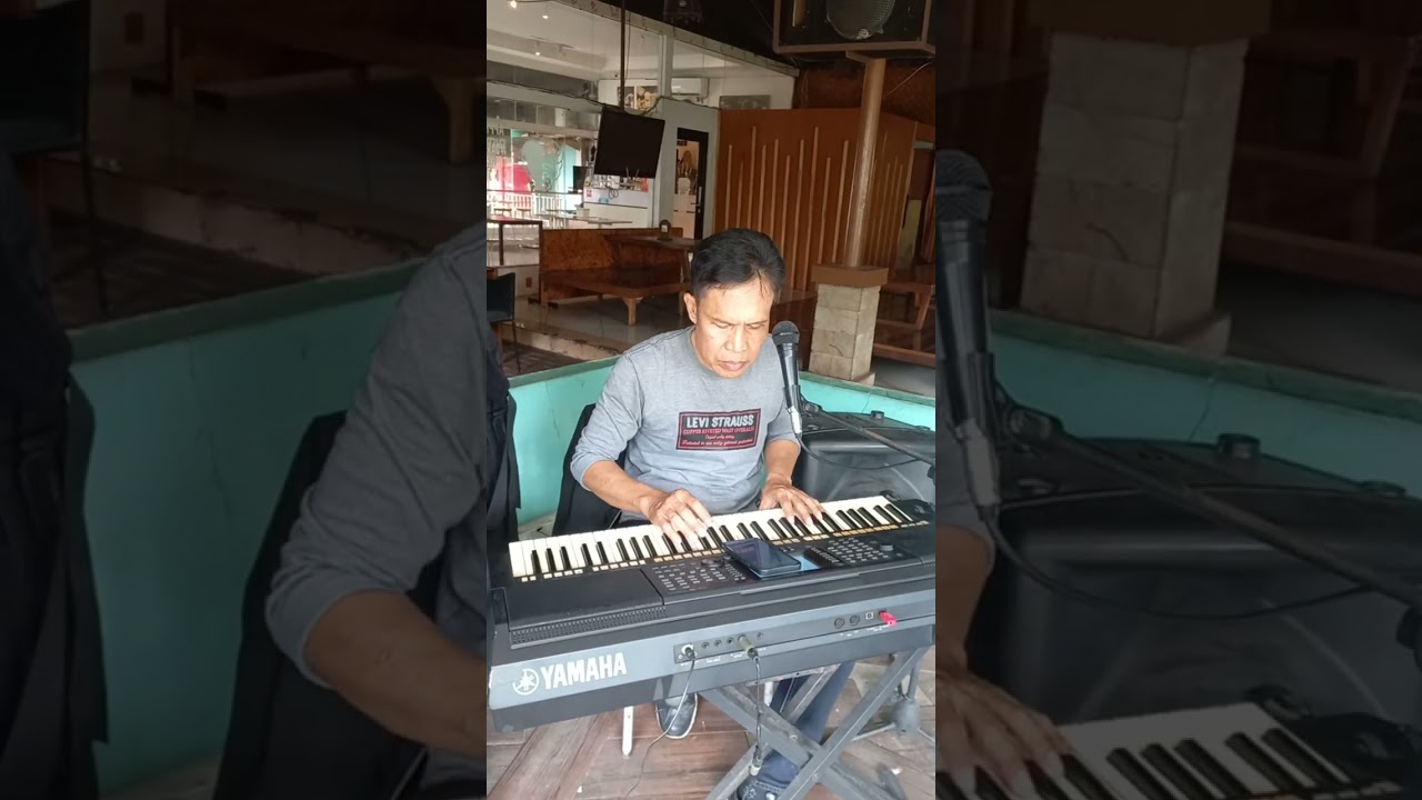 A White Shade of Pale (cover - Royy)
