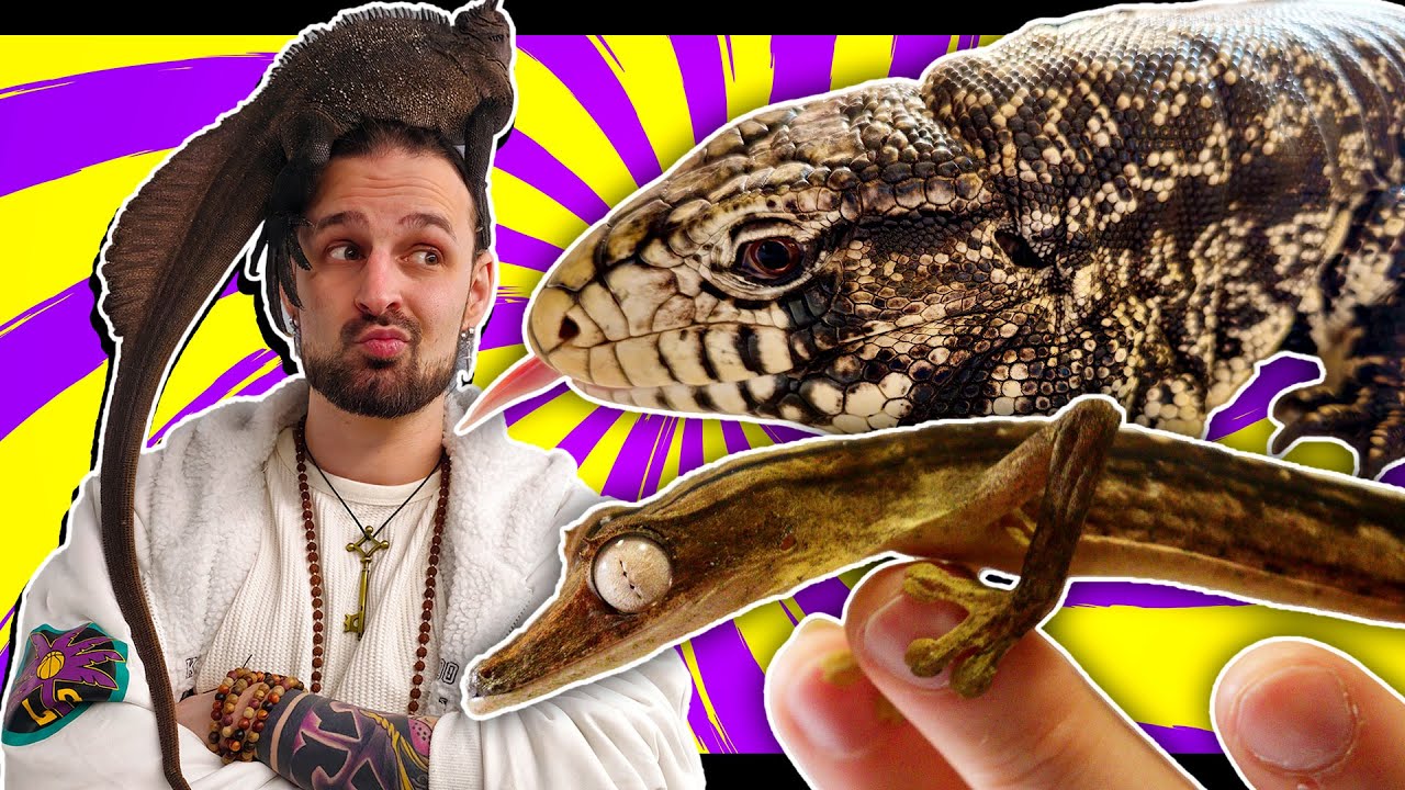 Cos'è Successo NEL RIFUGIO DEI RETTILI?