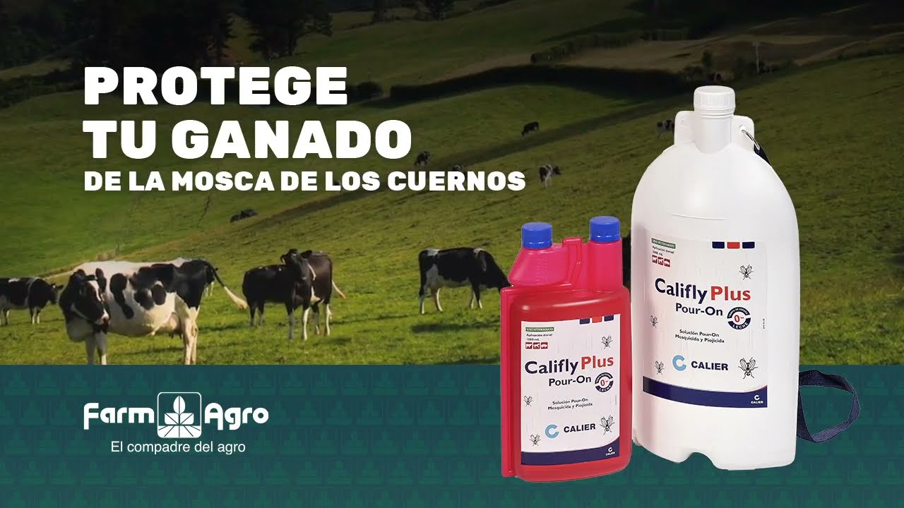 Protege tu ganado contra la mosca de los cuernos con #CaliflyPlus