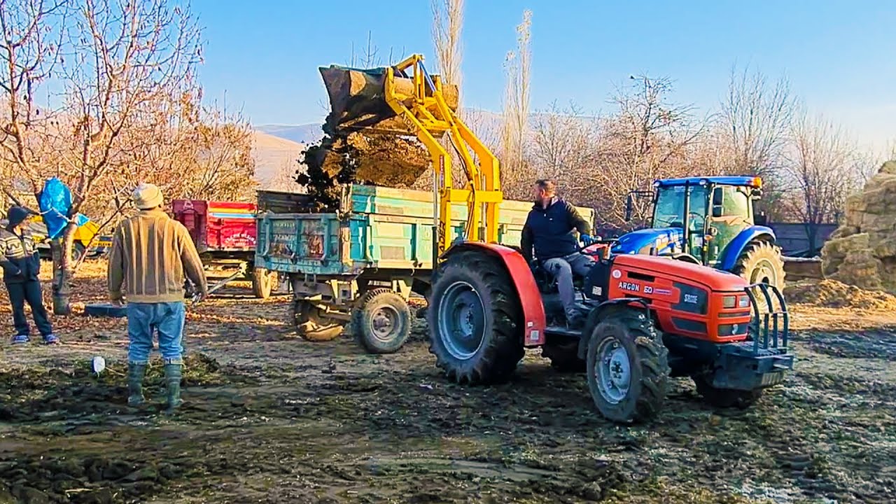 Используйте трактор-погрузчик практически