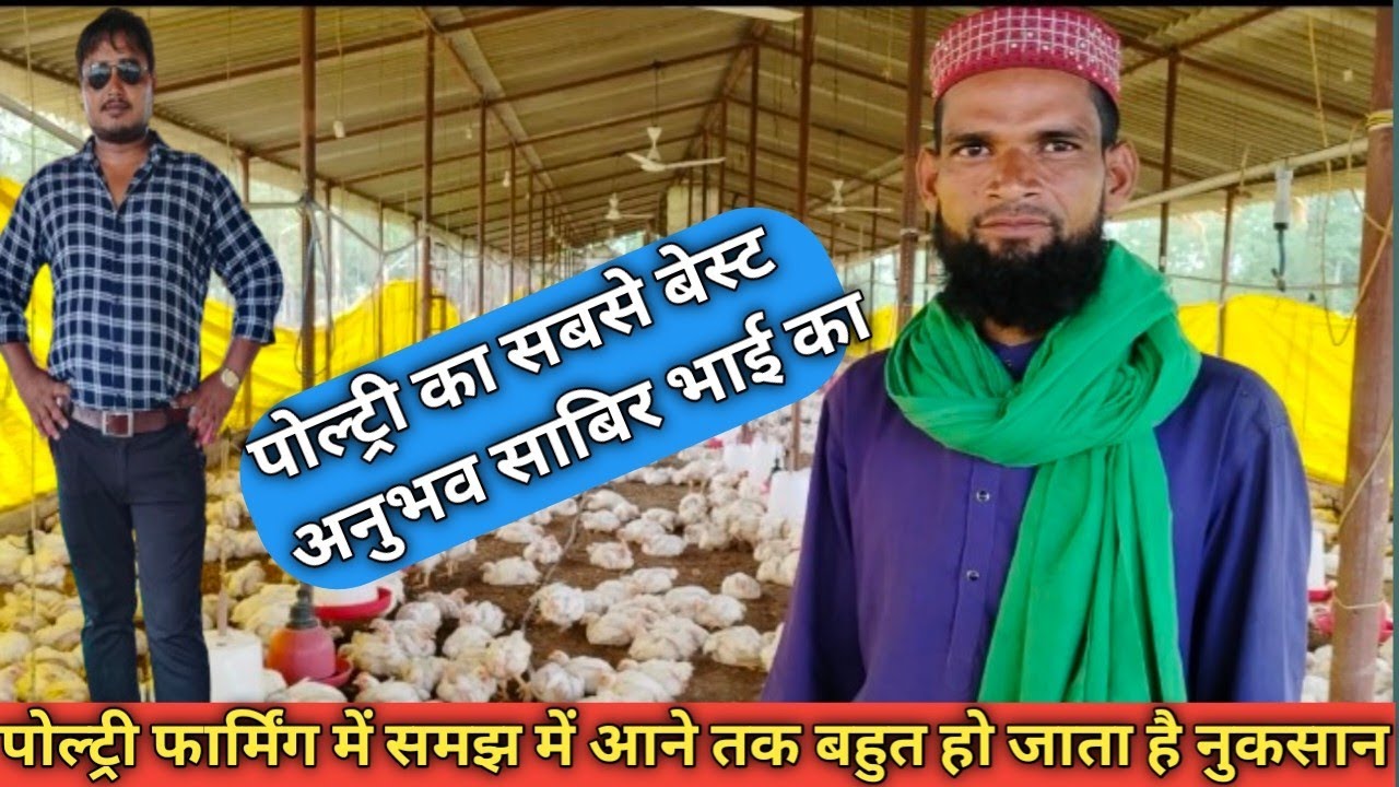 poultry pharming kyon fayda aur nuksan ka Sauda hai. poultry farming business
