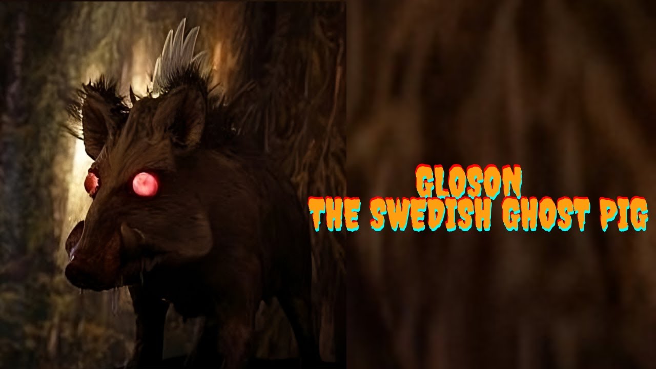 Gloson - the Swedish Ghost Pig