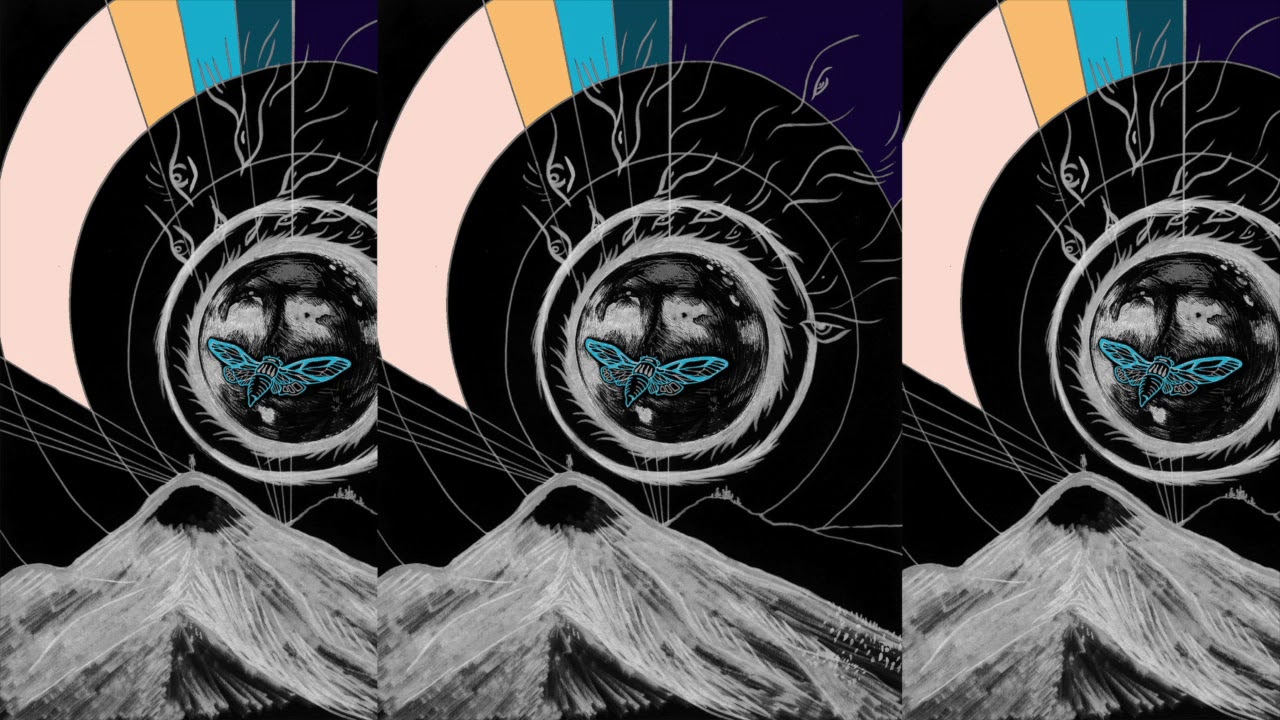 Cicada Land On Your Back (Official Audio)
