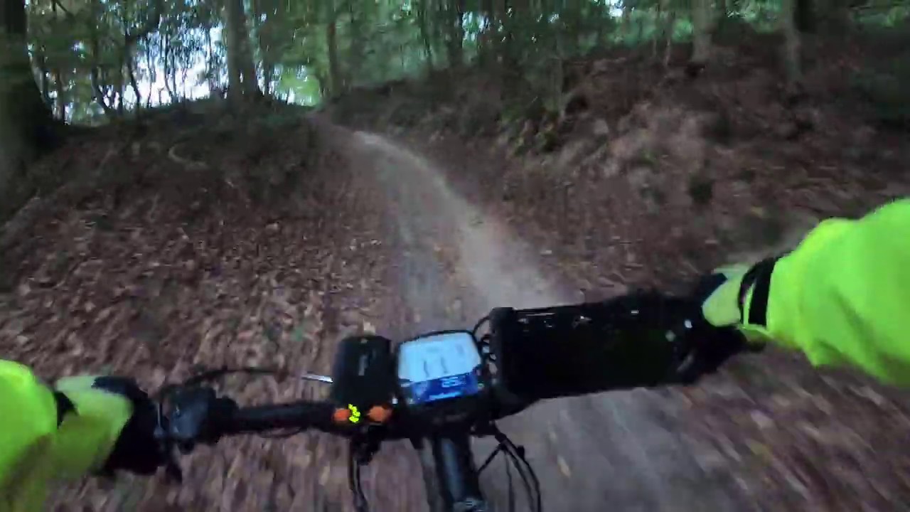 Runde um Bachenau zum Sonnenaufgang   - KTM Macina Lycan 274