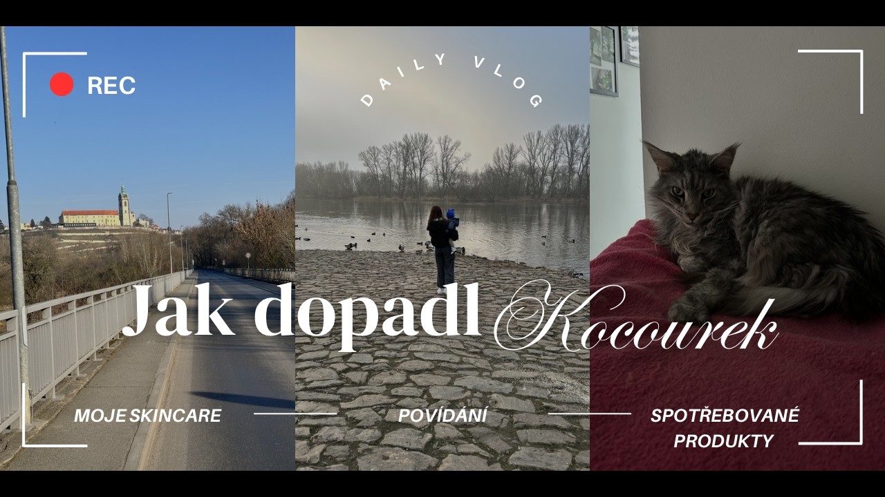 JAK DOPADL KOCOUREK?- MOJE SKINCARE, POVÍDÁNÍ, SPOTŘEBOVANÉ PRODUKTY 🐈💄💕