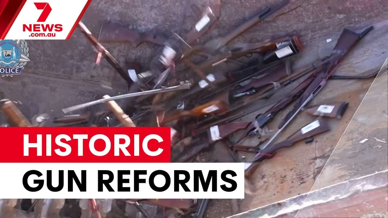 Gun and hate speech reforms pass lower house | 7NEWS