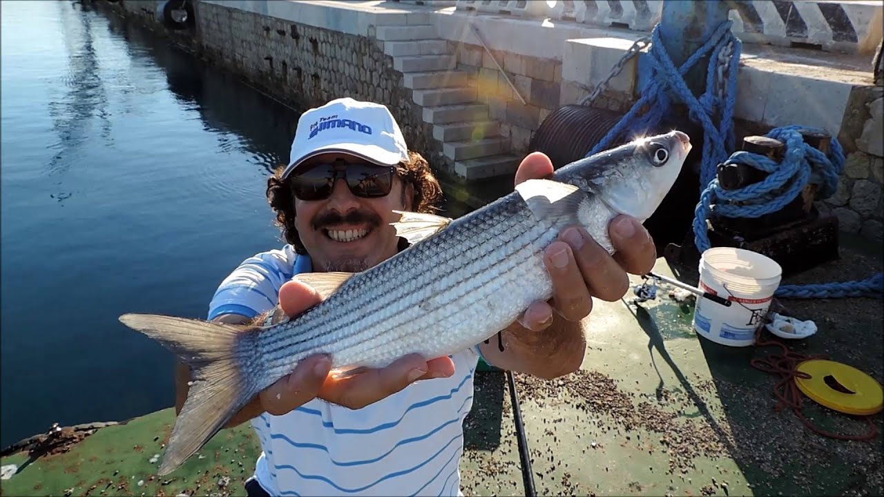 Cefali a Feeder con Rino Scalzo - Feeder Mullet