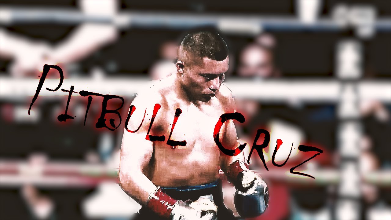 La Gran Inteligencia Y T&eacute;cnica De Pitbull Cruz.