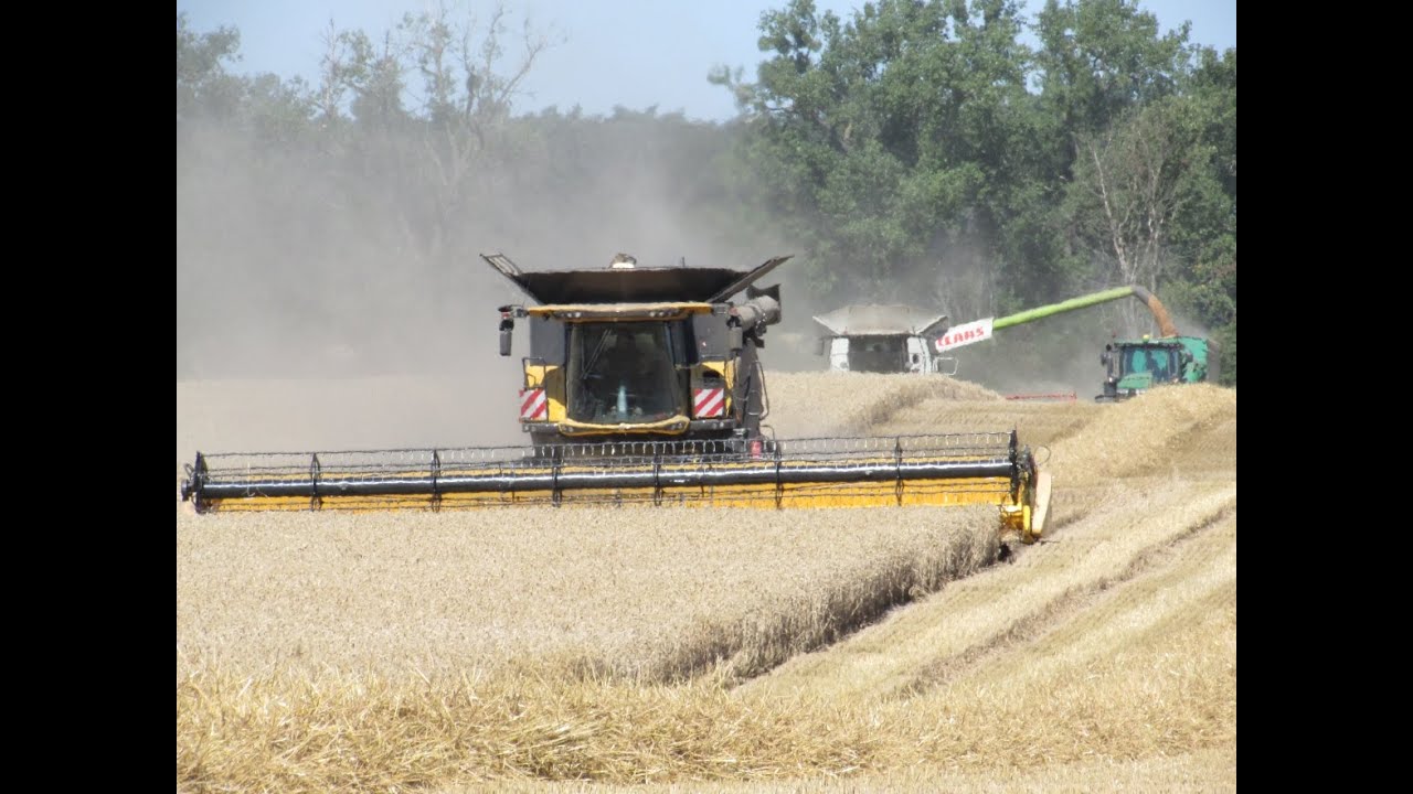 Żniwa 2020 Na Wielką Skalę/Jazda Tirem/GR PTASZKOWO/Lexion/Axion/JohnDeere//NewHolland