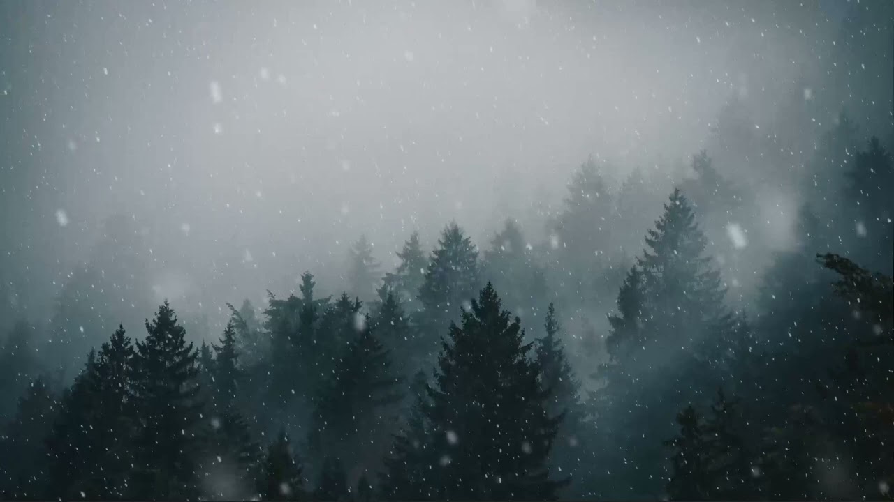 Snowy Forest, Live Wallpaper, 1080p 60fps