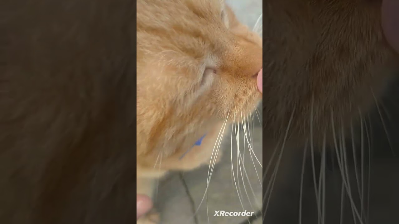 С кумариком сидим