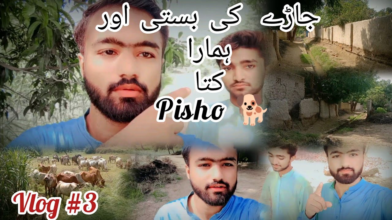 جاڑے کی بستی اور ہمارا کتا 🐕 پیشو (Village of Gare And our Dog 🐕🐶 Pisho)