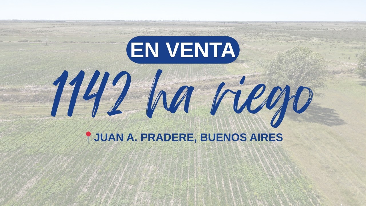 Campo en venta - 1142 ha con riego en Juan A. Pradere, Buenos Aires.